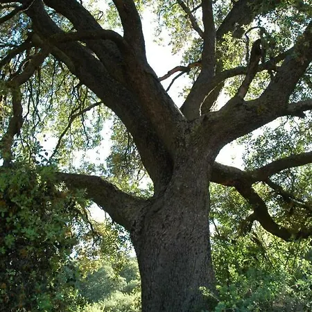 La Sargantana Hétvégi ház Santa Cruz de Nogueras